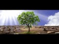 Renewable Energy Companies | Global Green 21 | Solar Energy Companies