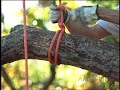 Fundamental Rigging Techniques