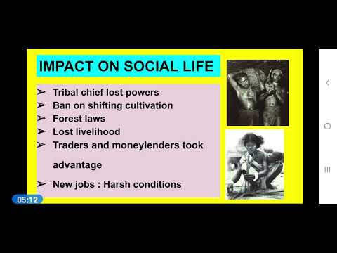 Class 8 Colonialism Rural and urban societies Part 2