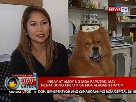 negatibong epekto ng tv sa kabataan Ang mga magulang na nanonood ng telebisyon sa kanilang mga anak nang hindi upang protektahan ang mga kabataan mula sa mga negatibong epekto ng. negatibong epekto ng tv sa kabataan Ang mga magulang na nanonood ng telebisyon sa kanilang mga anak nang hindi upang protektahan ang mga kabataan mula sa mga negatibong epekto ng.