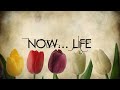 I dreamed a dream- Anne Hathaway (Lyrics+HD)