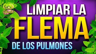 Flema+En+Los+Pulmones ... naturalmente las flemas de los pulmones Salud / General YoliLaitano