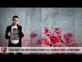 Tauri Anni - Miljoni Roosiga Kaardi Sul Saadan (Lenny LaVida Remix)