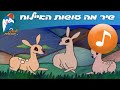 פנאי ילדים » הפעלה ילדים » שירים » מה עושות האיילות