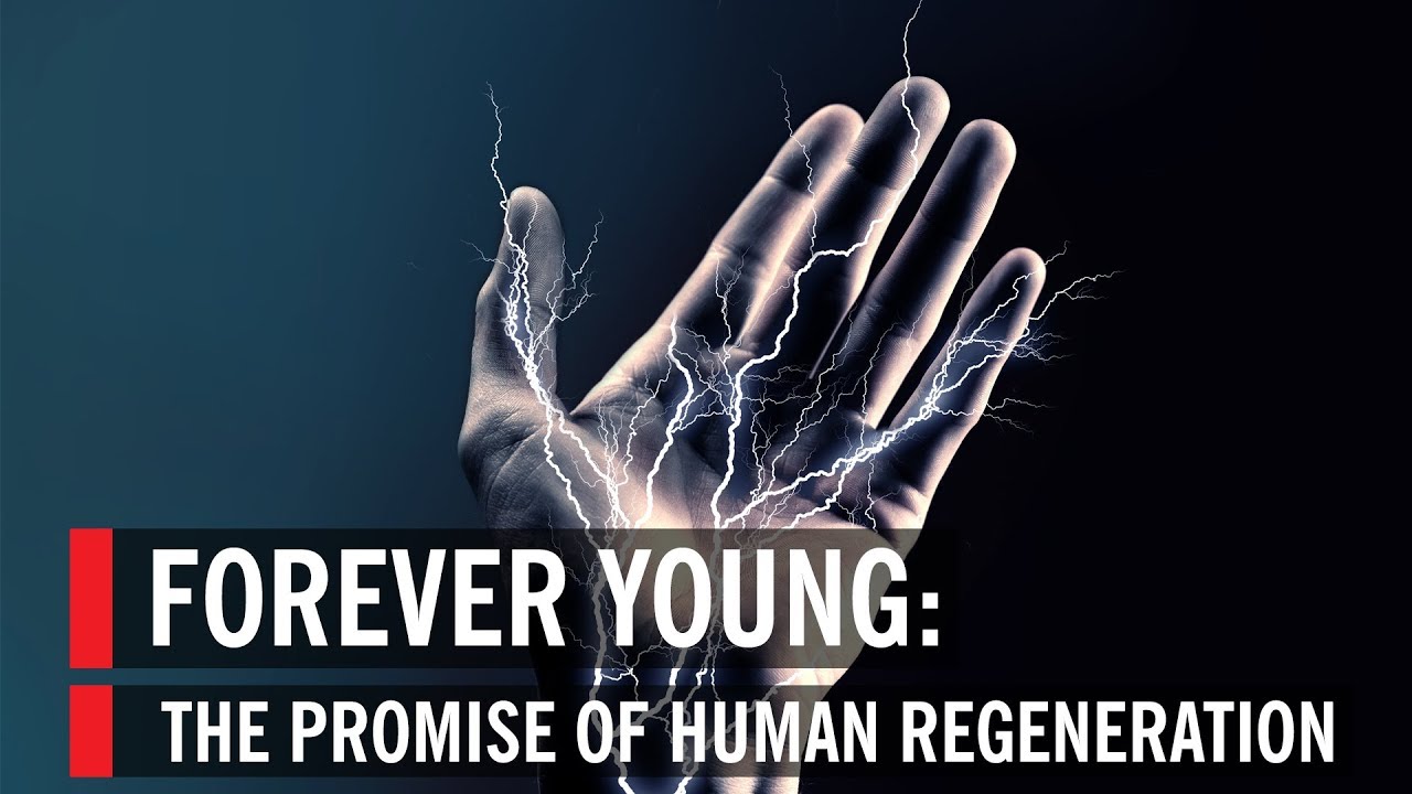 The Promise of Human Regeneration : Forever Young
