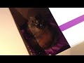 jack in a box