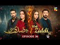 Woh Ziddi Si - Episode 36 - 21st Dec 2024 [ Aina Asif & Shazeal Shaukat ]  SIA BEAUTY CREAM - HUM TV