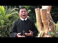 Thứ Năm 04.10.2018: NHỮNG NGƯỜI BÉ MỌN
