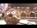 LG Hom-Bot Square viral movie