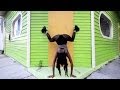 Diplo - Express Yourself (feat. Nicky Da B) Diplo - Express Yourself (feat. Nicky Da B)