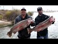 EPIC Fishing. MUST SEE TO BELIEVE 3 Trout, 30 LBS!!