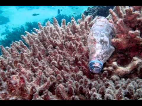 Plastic Soup – The Great Pacific Patch - Kids and Science