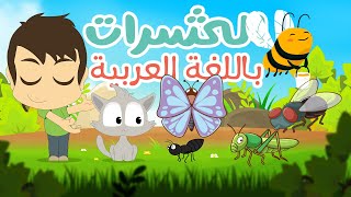 تعليم اسماء الحشرات للأطفال مع زكريا |  تعلم اسماء الحشرات باللغة العربية