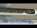 Viral video provides clues to 747 crash