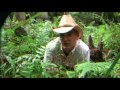 Outtakes - Trekman - Island Caretaker 2009 (Australia)