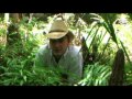 Outtakes - Trekman - Island Caretaker 2009 (Australia)