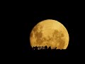 Full Moon Silhouettes