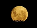 Full Moon Silhouettes