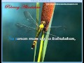 Pobreng Alindahaw - Visayan Folk Song VideokeKaraoke
