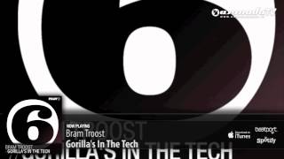 Bram Troost - Gorilla's In The Tech (Original Mix)