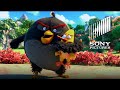 Trailer 12 do filme Angry Birds