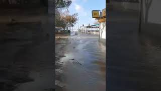 Edremit'te kabaran deniz Altınkum Mahallesi'ni sular altında bıraktı