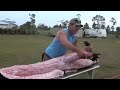 how to skin, de-bone and flesh out an alligator