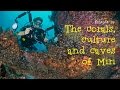 The coral, culture and caves of Miri - Borneo From Below: Ep 14 | 