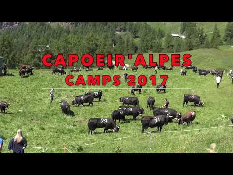 Capoeir'Alpes Camps 2017