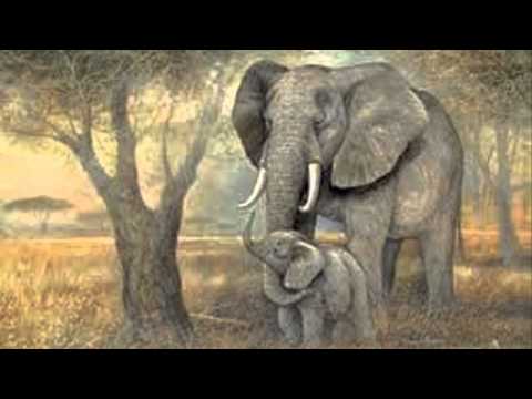 動物狂歡節-《大象》Saint Saens: Carnival of the Animals~L'Elephant (The Elephant) - YouTube