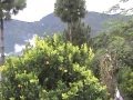 View From Ghandiyal Pauri Garhwal | Mera Dandi Kanthiyon ka mulik- Vivek Rawat