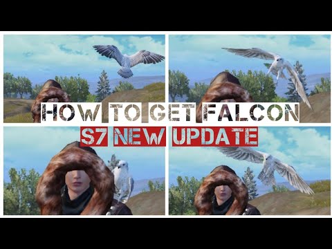 Download Thumbnail For How To Get Falcon Companion In Pubg Mobile - how to get falcon companion in pubg mobile s7 new update youtube