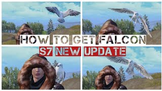 Download Thumbnail For How To Get Falcon Companion In Pubg Mobile - medium quality