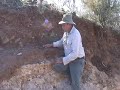 How To Find Gold Metal Detecting Where To Find Gold Metal Detecting Metal Detecting Gold How To