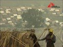 Congo (RDC)- Reprise de la guerre au Nord Kivu