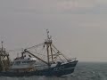 Fishing Vessel hits large Sailing Vessel in Good Visibility 20/8/2010