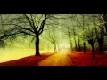 Way to Heaven - Reiki Music