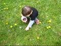 miniature