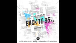 Jeremy Sylvester Back To 95 Vol 2 WAV MIDI