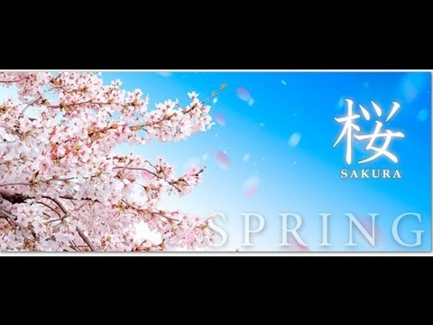Japan Cherry Blossom Tours