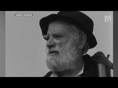 Amurgul Fântânilor (1983)