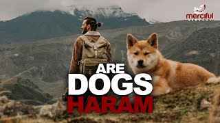 ARE DOGS HARAM