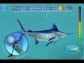Fishing Kings (iPhone Game) - Catching a Blue Marlin (Final Boss)