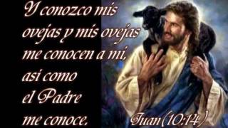 VIDEOS GRATIS LEO DAN videos gratis leo dan: