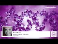 RAM & Susana - RAMelia (Tribute To Amelia) (Original Mix)