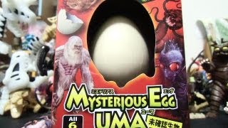 Mysterious Egg UMA 「未確認生物モンゴリアン・デス・ワームを捕獲せよ！」 上