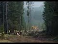 Dozer Operations - Panther Creek Fire - 2000 - Bear Divide IHC