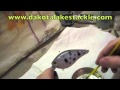 How to Paint a Craw Pattern Crankbait using the Crackle Method