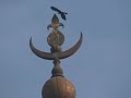 History of TAJ MEHAL, Agra, India. Latest Video on Feb2012