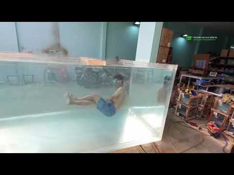 Bể cá to đến mức có thể làm bể bơi